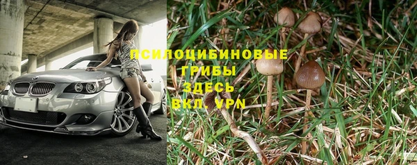 стафф Алзамай