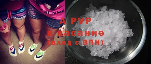 стафф Алзамай