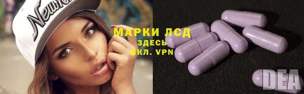 стафф Алзамай
