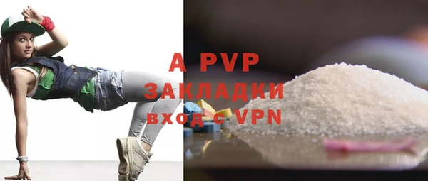 стафф Алзамай