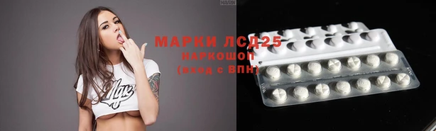 стафф Алзамай