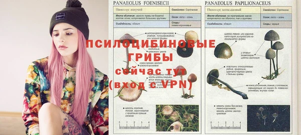 a pvp Алексин