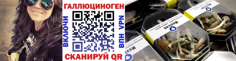 Галлюциногенные грибы Psilocybe  как найти   ОМГ ОМГ зеркало  Киров 